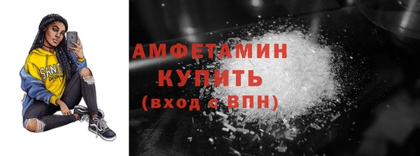 сатива Губаха