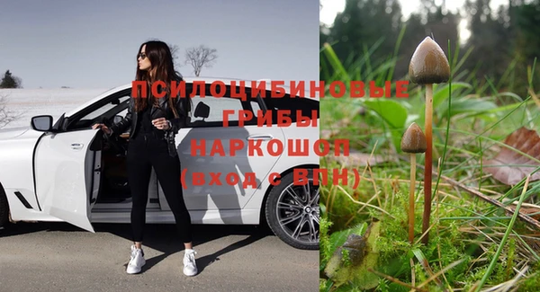 прущий лед Переславль-Залесский