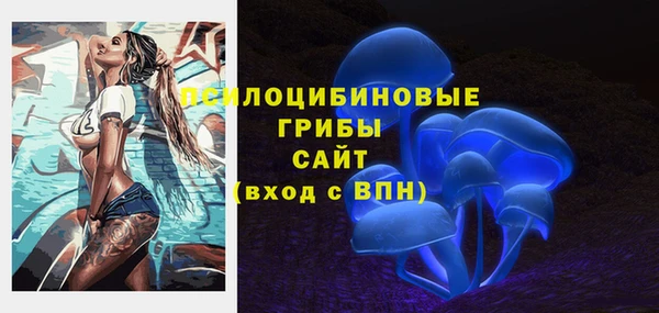 прущий лед Переславль-Залесский