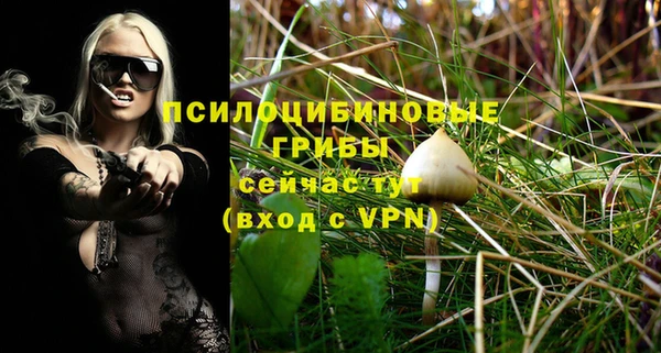 меф Пересвет