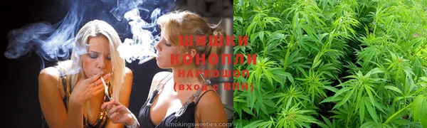 меф Пересвет