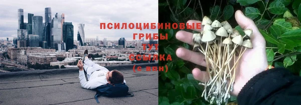 спиды Пестово