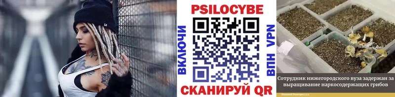 Псилоцибиновые грибы Magic Shrooms  МЕГА рабочий сайт  Пучеж 