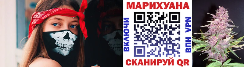 Шишки марихуана план Пучеж