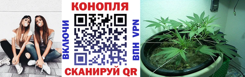 Марихуана конопля  магазин  наркотиков  Пучеж 